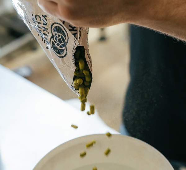 Balter News - Ever Wondered How Beer is Made? Here’s a Helpful Guide (…Without Turning It into a Science Lecture!)